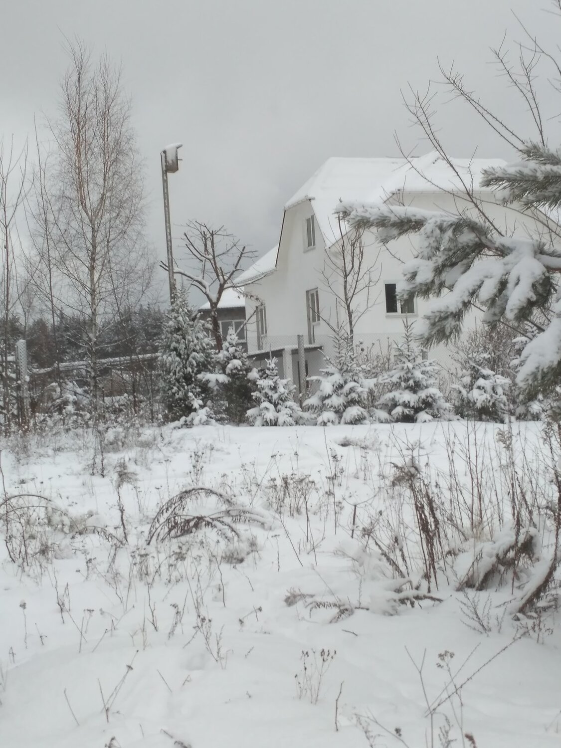 Photo #3748625