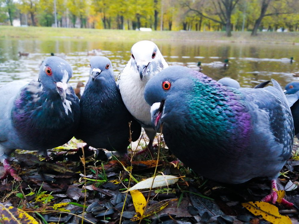 Photograph by Мардарь Татьяна
