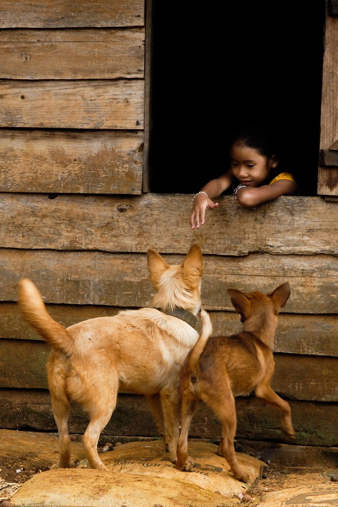 Photograph by Tuan Van Nguyen