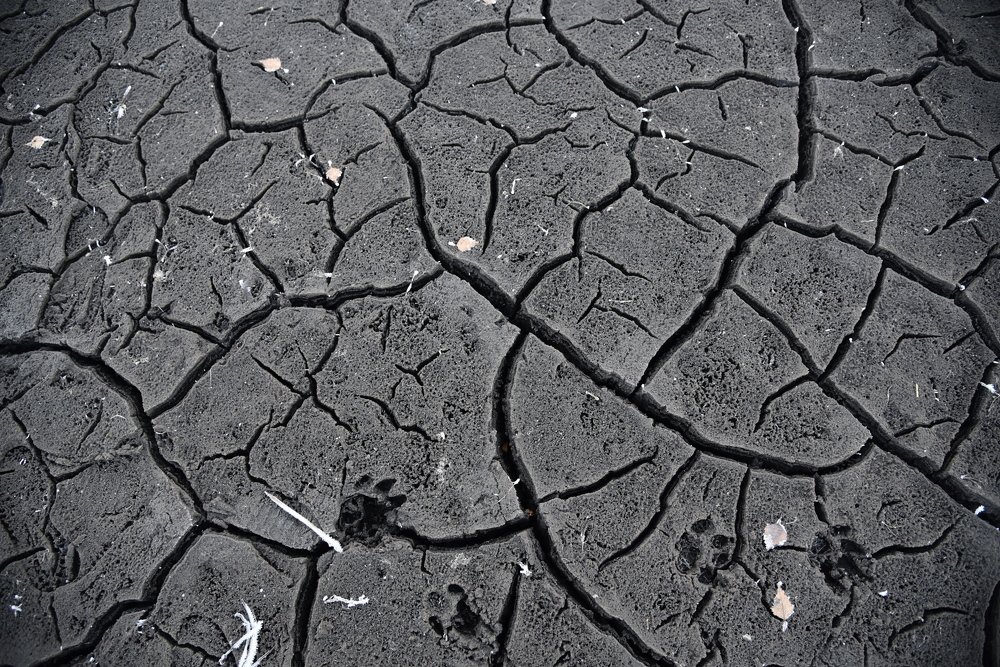 Photograph by Людмила Воропаева