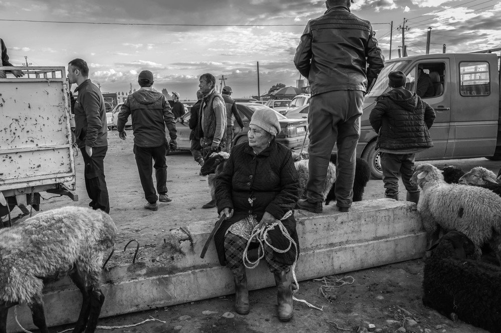 Animal market 2, Kyrgyzstan 2019