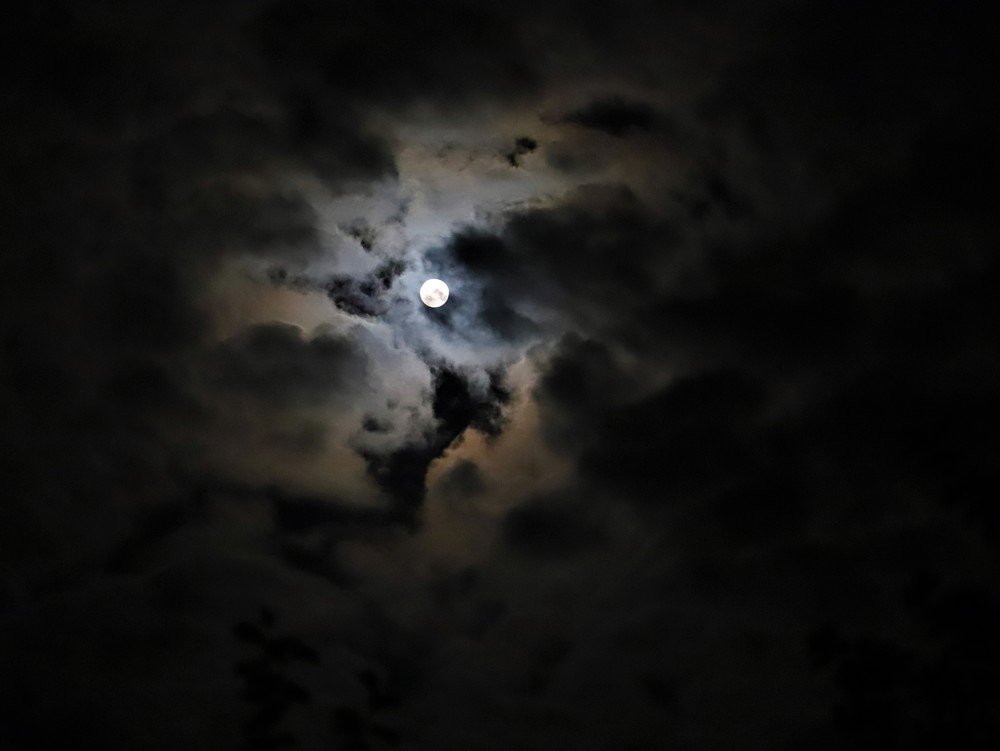 Photograph by Андрей Телибаев