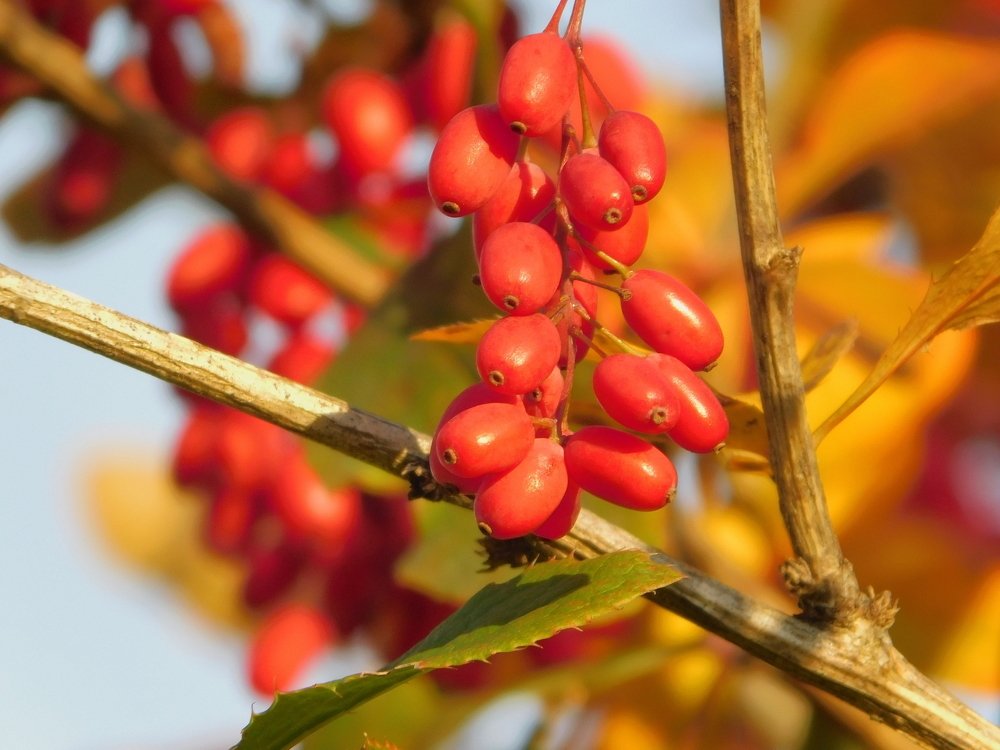 Photograph by Елена Грошева