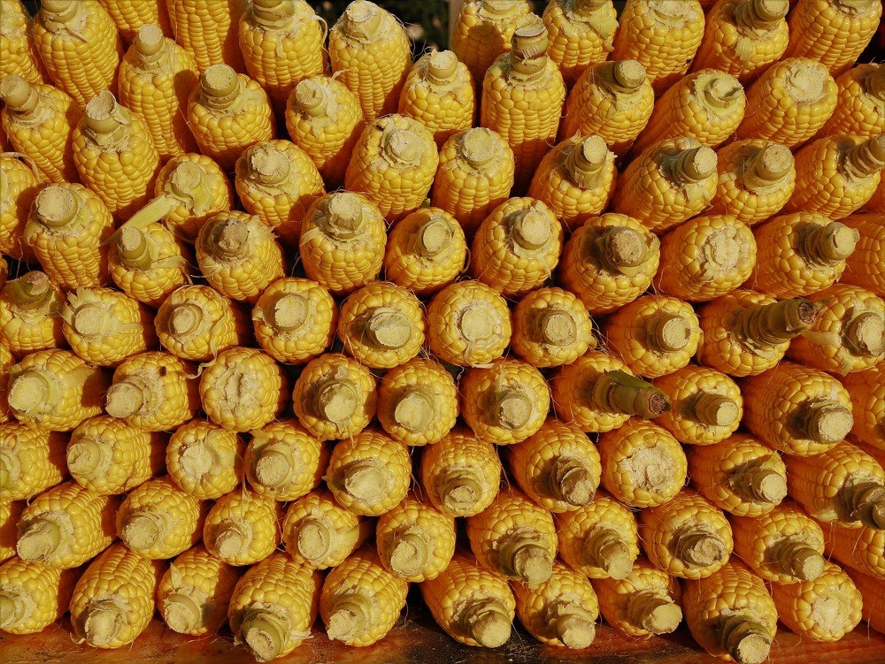 Photograph by Андрей Телибаев