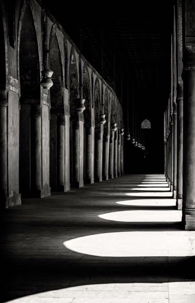 Фотография автора Sherine El Mously