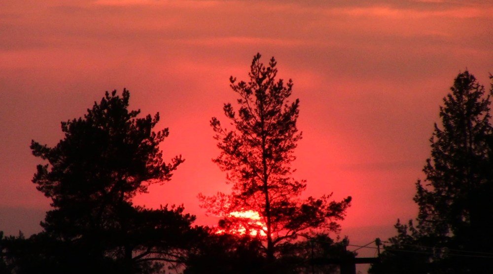 Photograph by Ирина Степановна Азаренкова