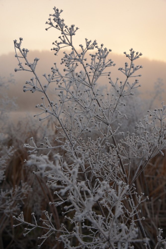 Photograph by Людмила Воропаева