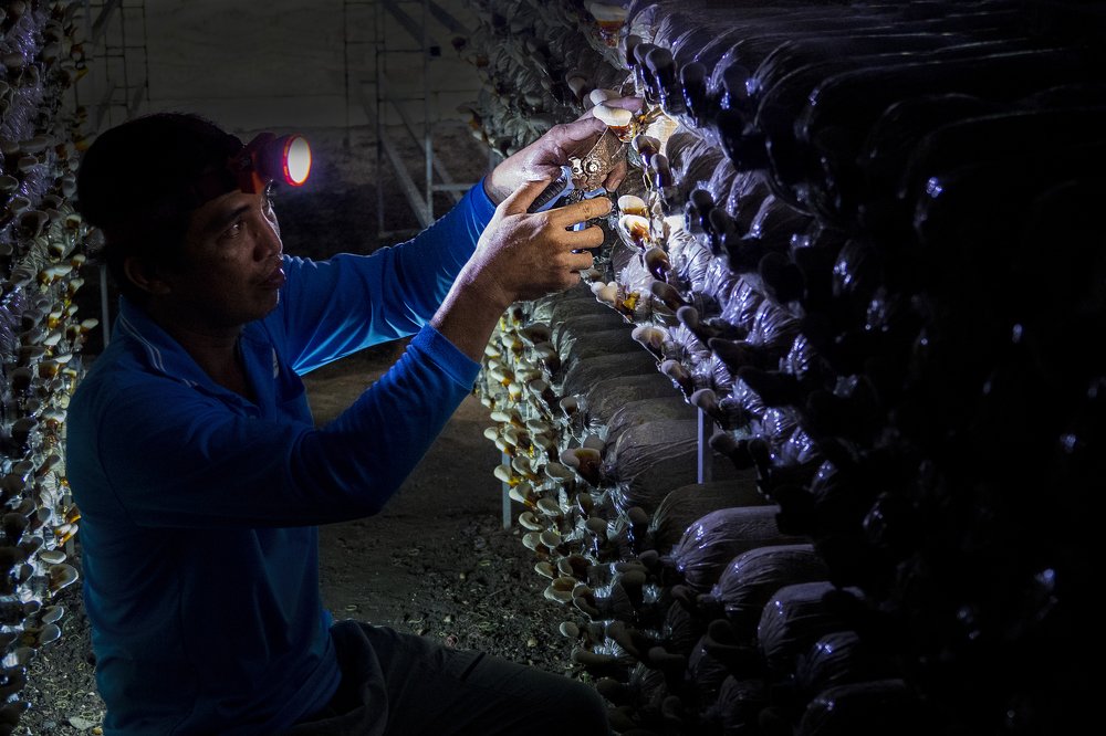 Photograph by Tuan Van Nguyen