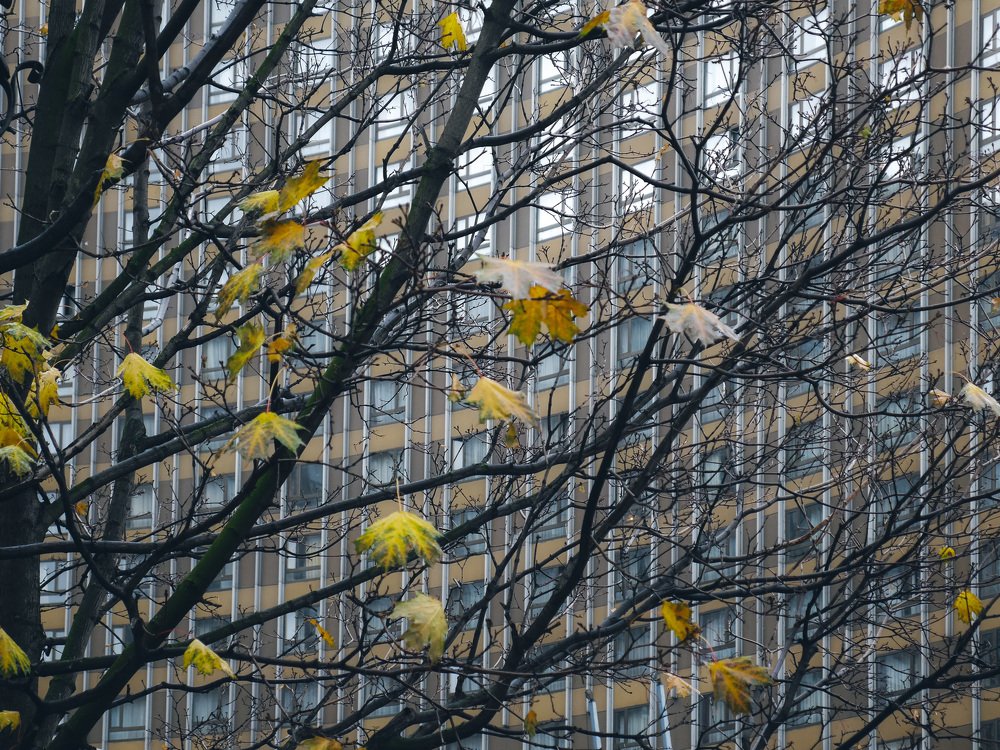 Photograph by Сергей Забиякин