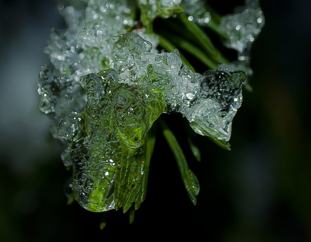 Photograph by Софья Овсянникова