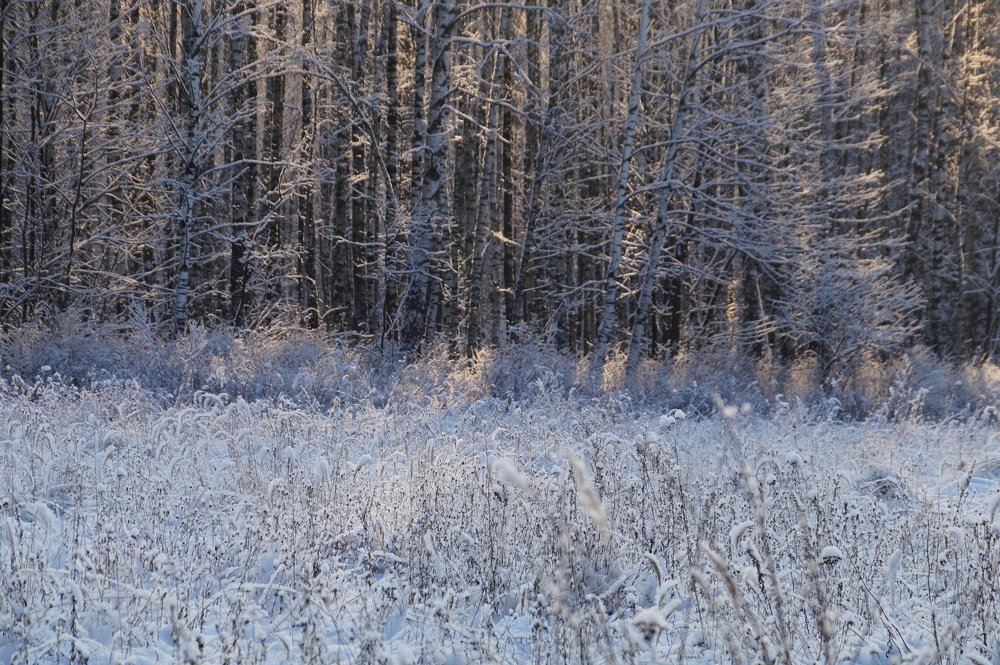 Зимний паттерн
