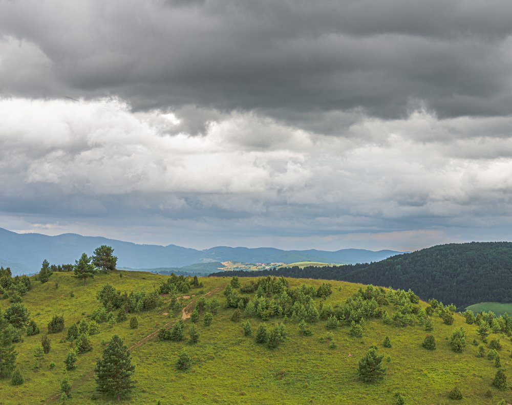 Дорога и цель