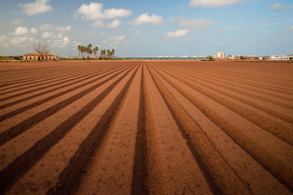 Photograph by Марина Ческис