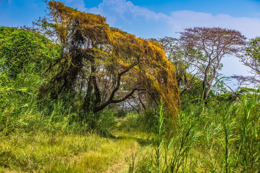 Photograph by Fabrice Mbonankira