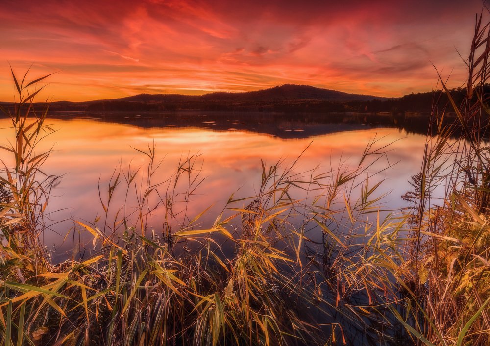 Photograph by Дмитрий Жучков