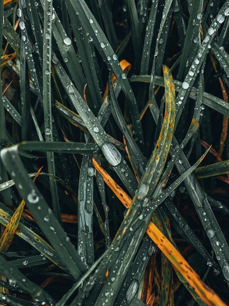 Photograph by Игорь Селин