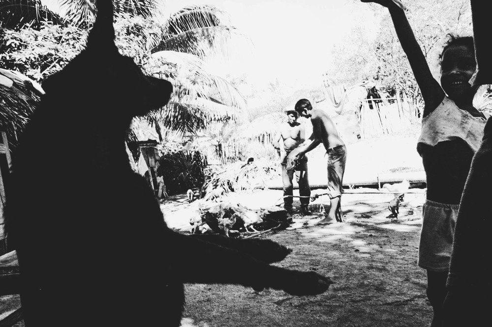 Фотография автора Катерина Белоусова