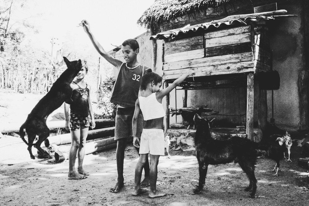 Фотография автора Катерина Белоусова