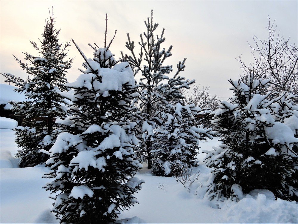 Photograph by Татьяна Красавцева