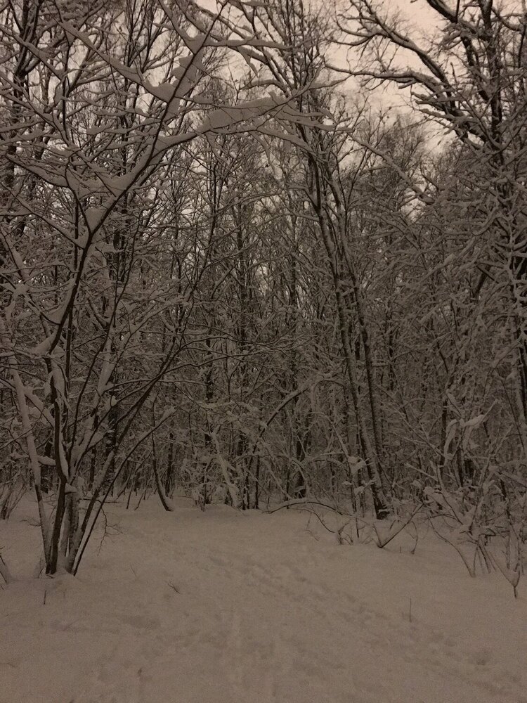 Photograph by Юлия Давшан