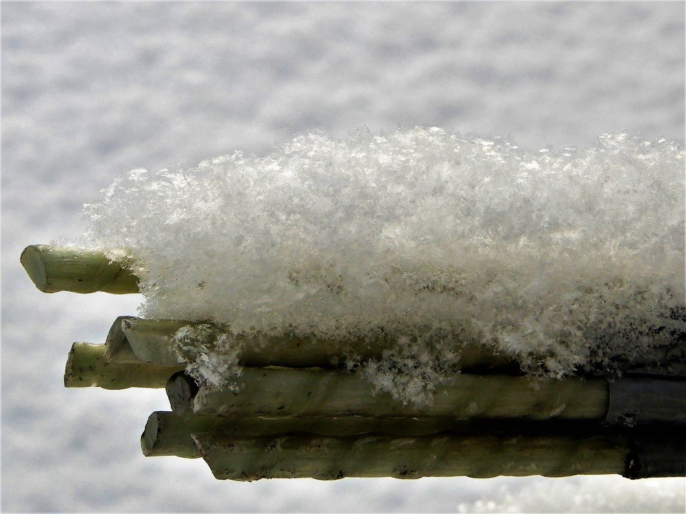 Photograph by Татьяна Красавцева