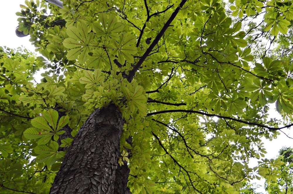 Photograph by Evica Ciric