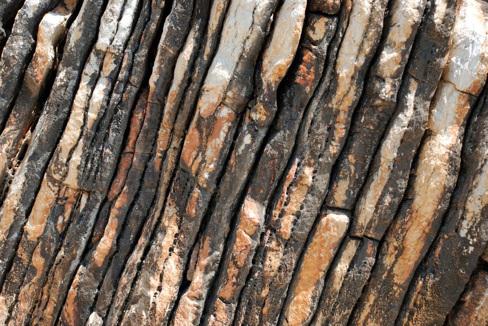 Photograph by Gordana Nikolovska-Dimeska