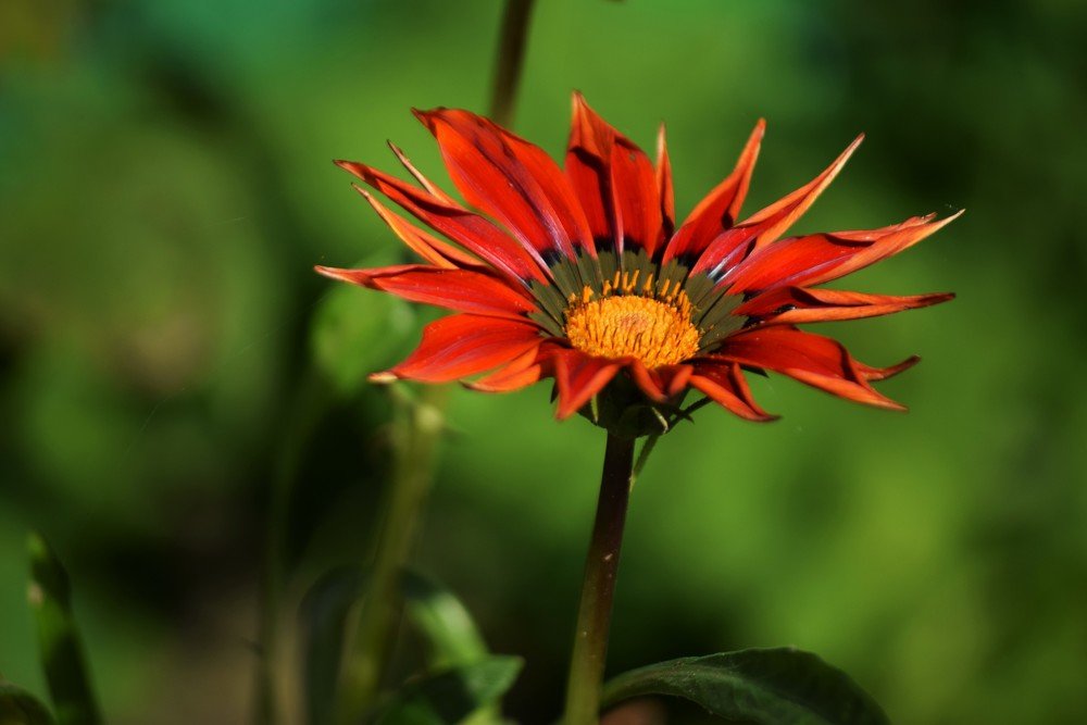 Photograph by Сергей Подлевский