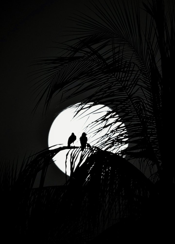 Photograph by Abhijit Sarkar