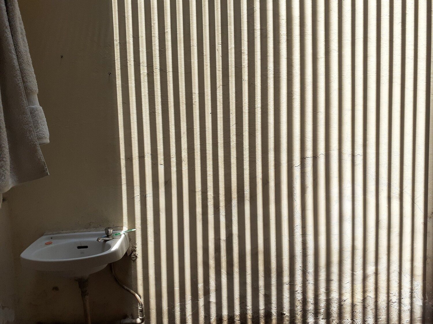 Photo #3749578