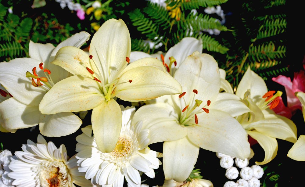 Photograph by Gordana Nikolovska-Dimeska