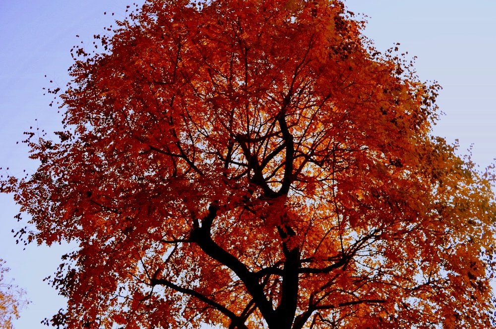 Photograph by Evica Ciric