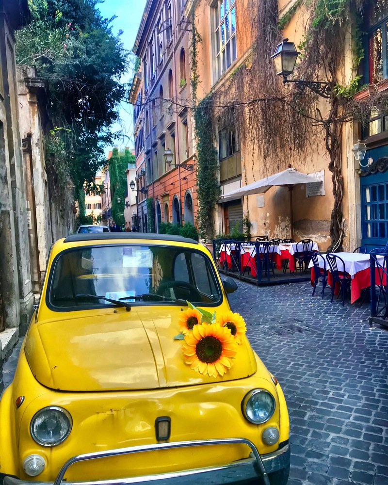 Фотография автора Елена Бальзамова