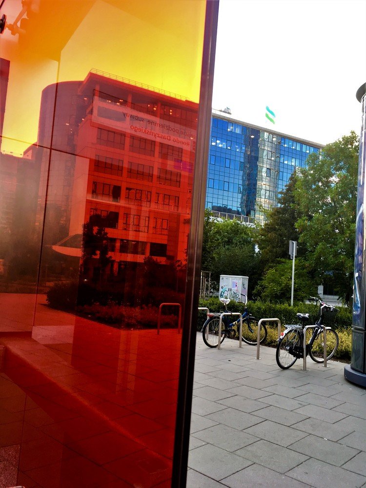 Photograph by Viktoriia Shtefanesa