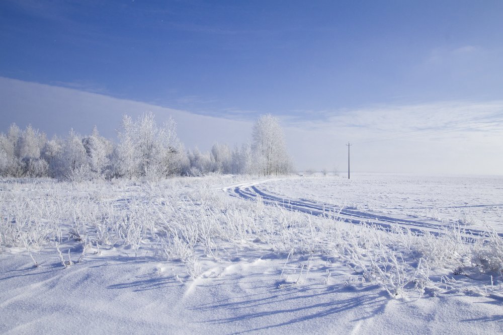 Photograph by Анна Евдокименко