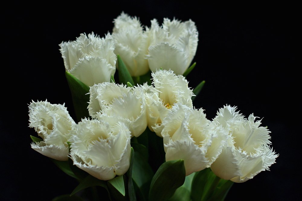 Фотография автора Геннадий Титов