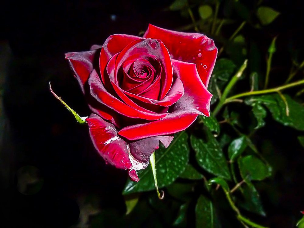 Фотография автора Turgay Uykusuz