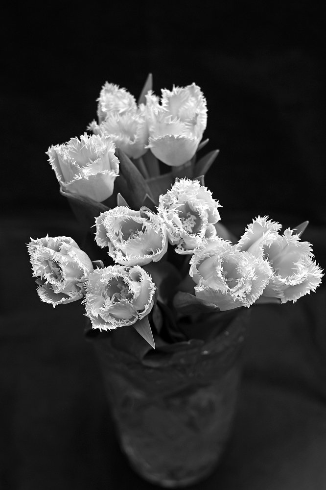 Фотография автора Геннадий Титов