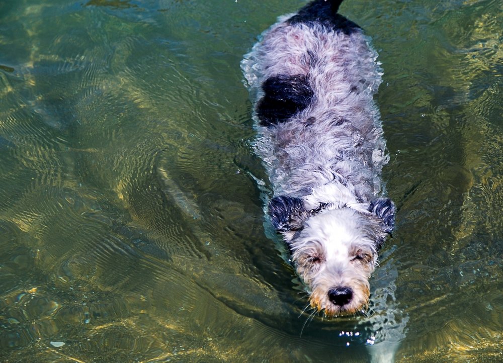 Фотография автора Turgay Uykusuz