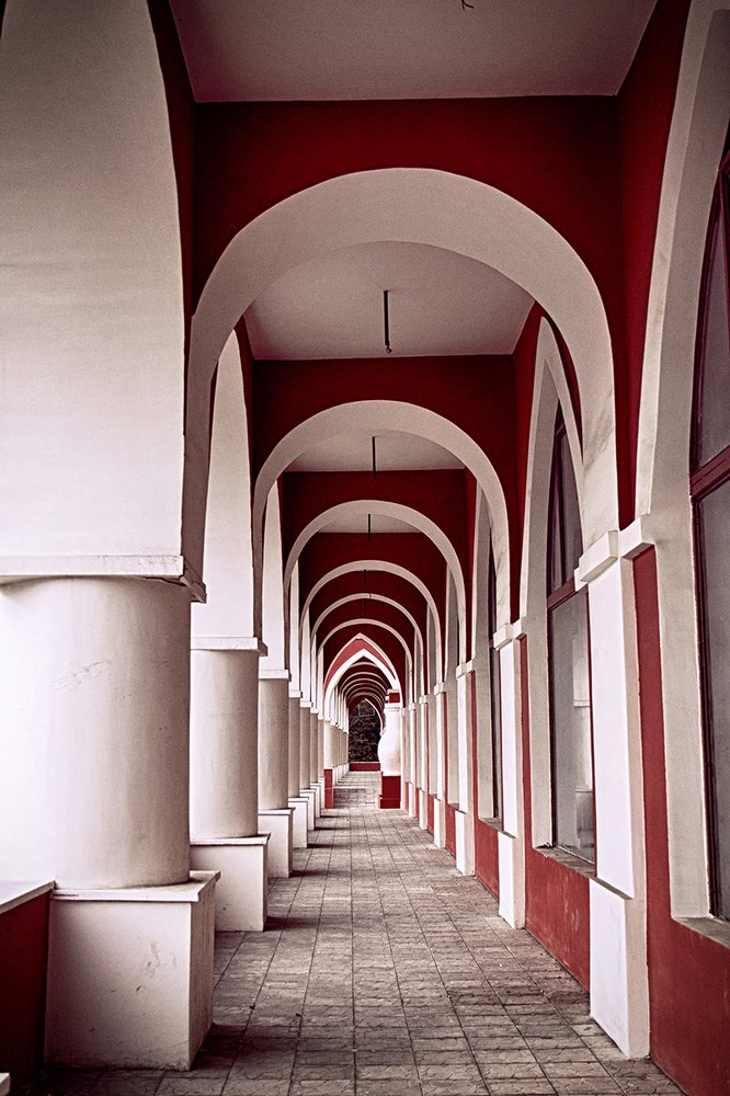 Photograph by Делана Романова