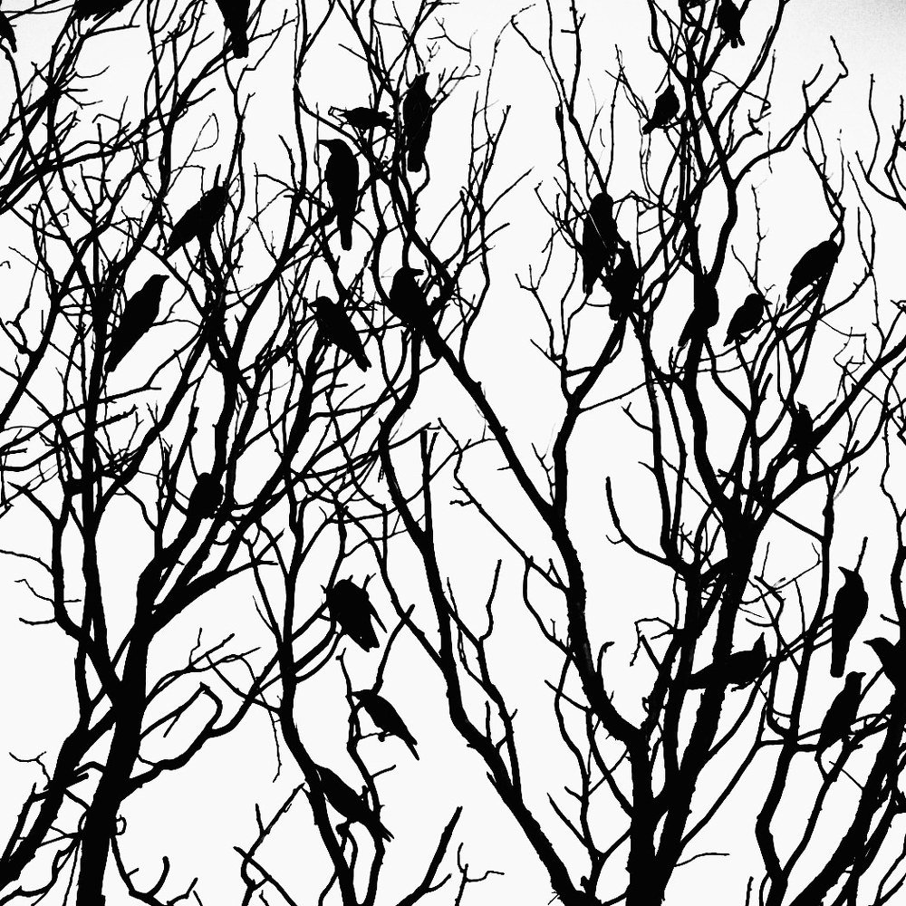 Photograph by RAHMAN MD. ATAUR