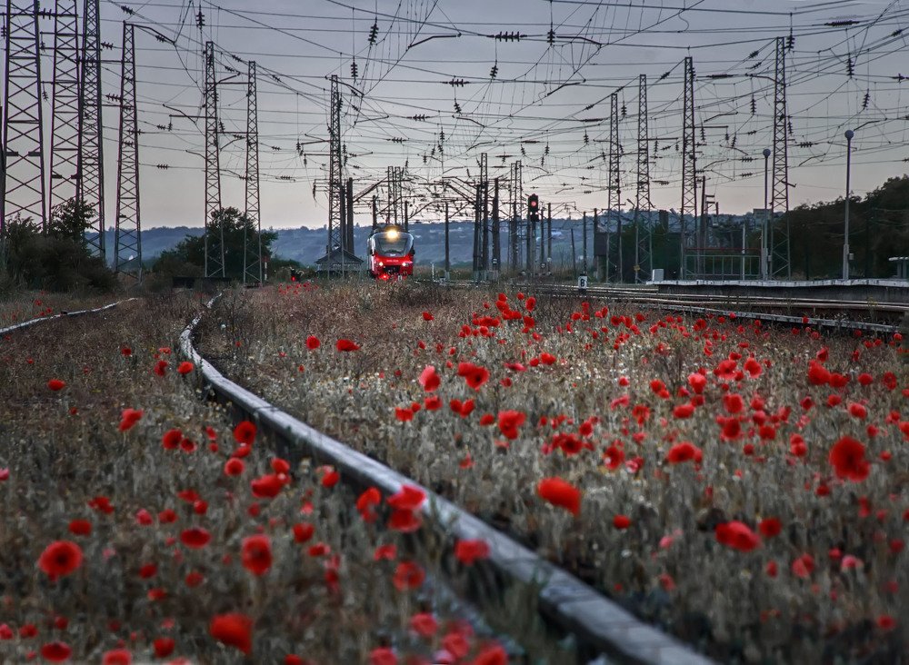 Photograph by Васильева Ирина
