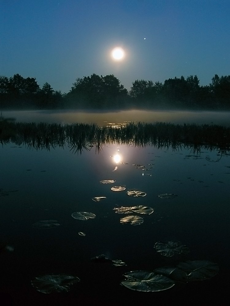 Photograph by Андрей Елистратов