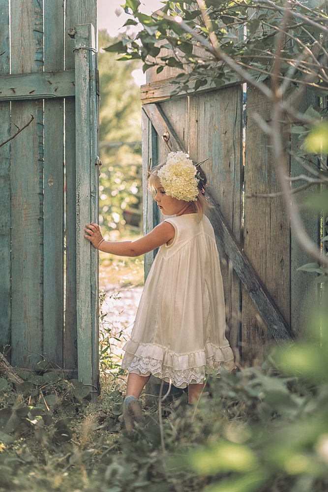 Photograph by 