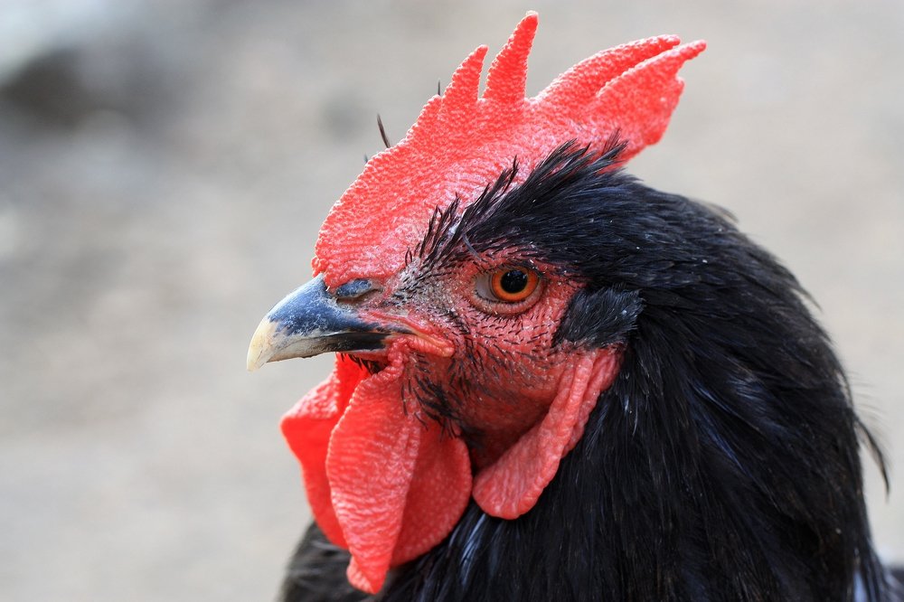 Photograph by Людмила Травина