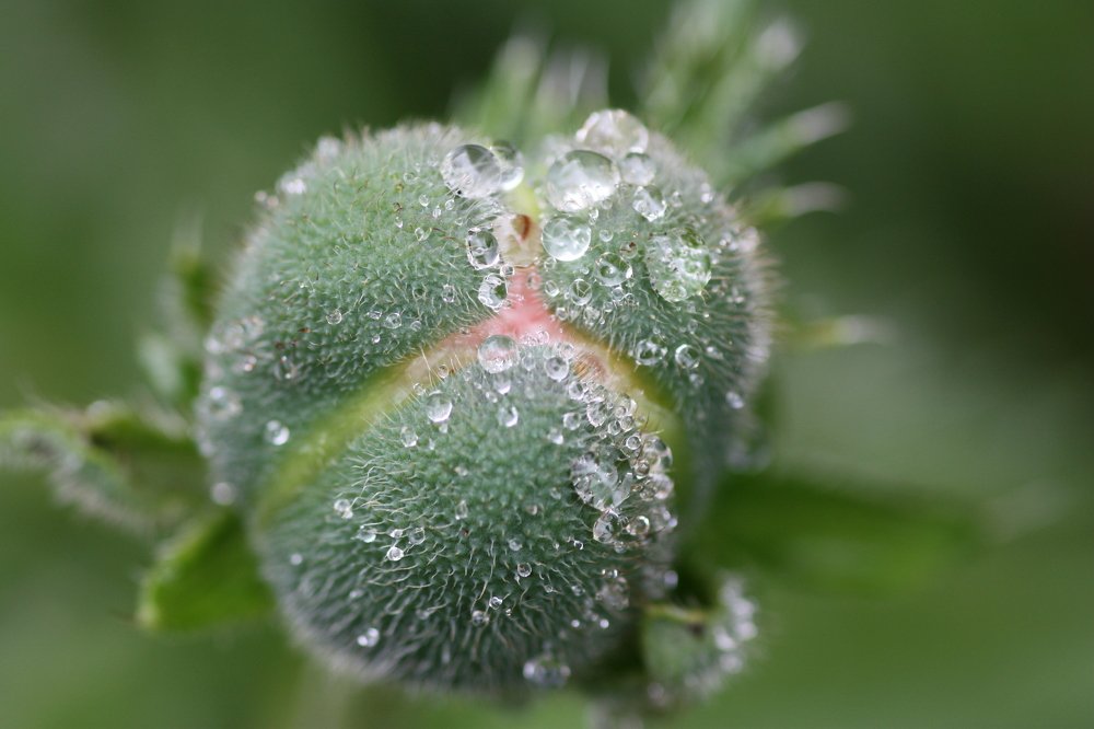 Photograph by Людмила Травина