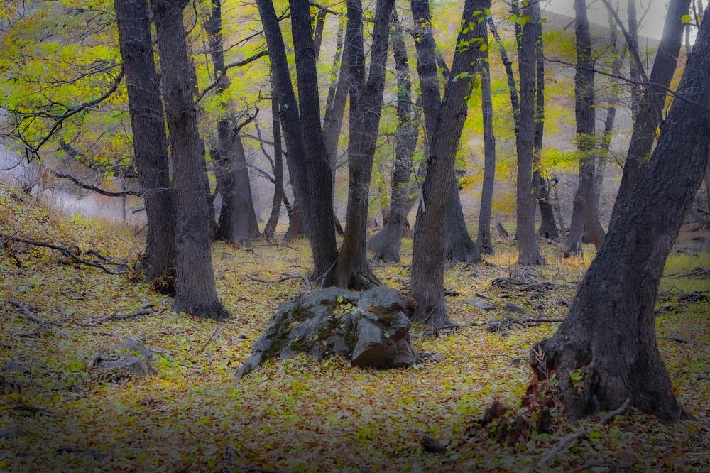 Photograph by петр чиков