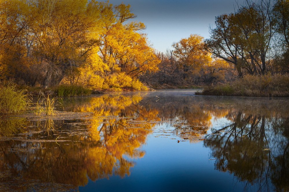 Photograph by петр чиков