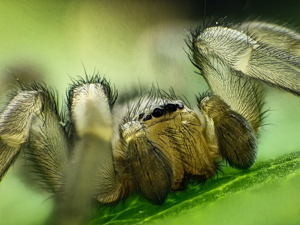 Photograph by Aleksandur Vasilev