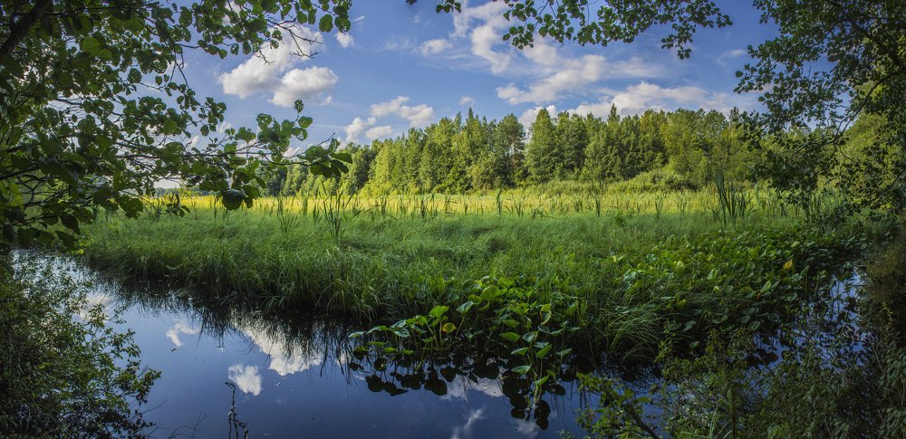 Photograph by Вячеслав Булатов